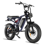 Happyrun Tank 750W Electric Bike Fat Tire Dirt All Terrain - G60