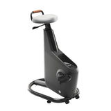 Lifespan Ampera Office Bike