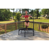 JumpSport 250 Fitness Rebounder Mini Trampoline In Home Cardio Fitness (2 Pack) - 173133