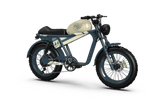 VTUVIA Qiolor Tiger Electric Bike