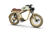 VTUVIA Qiolor Tiger Electric Bike